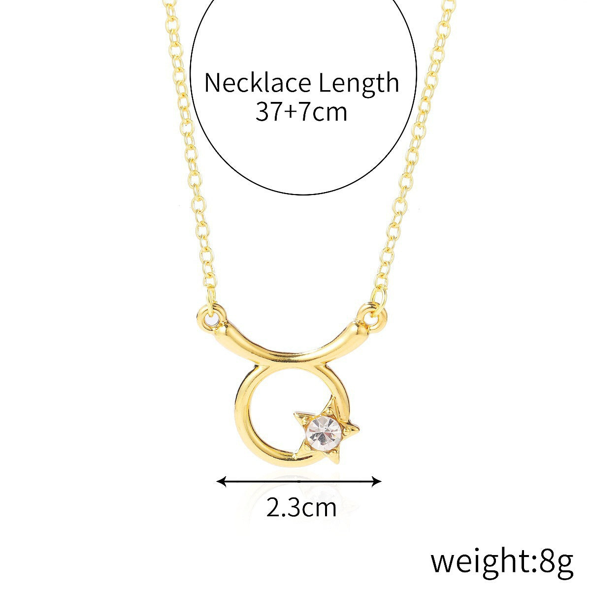 Custom 12 Zodiac Necklace Horoscope Necklace